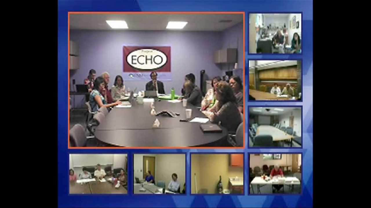 Project ECHO in Two Minutes