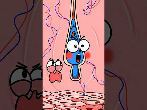 ¿El vello corporal puede hacerte sentir como si estuvieras sentado sobre agujas?#shorts