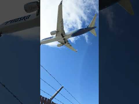 #crosswind  landing at RNO #planespotting #AVIATION #AIRPLANE @renoairport