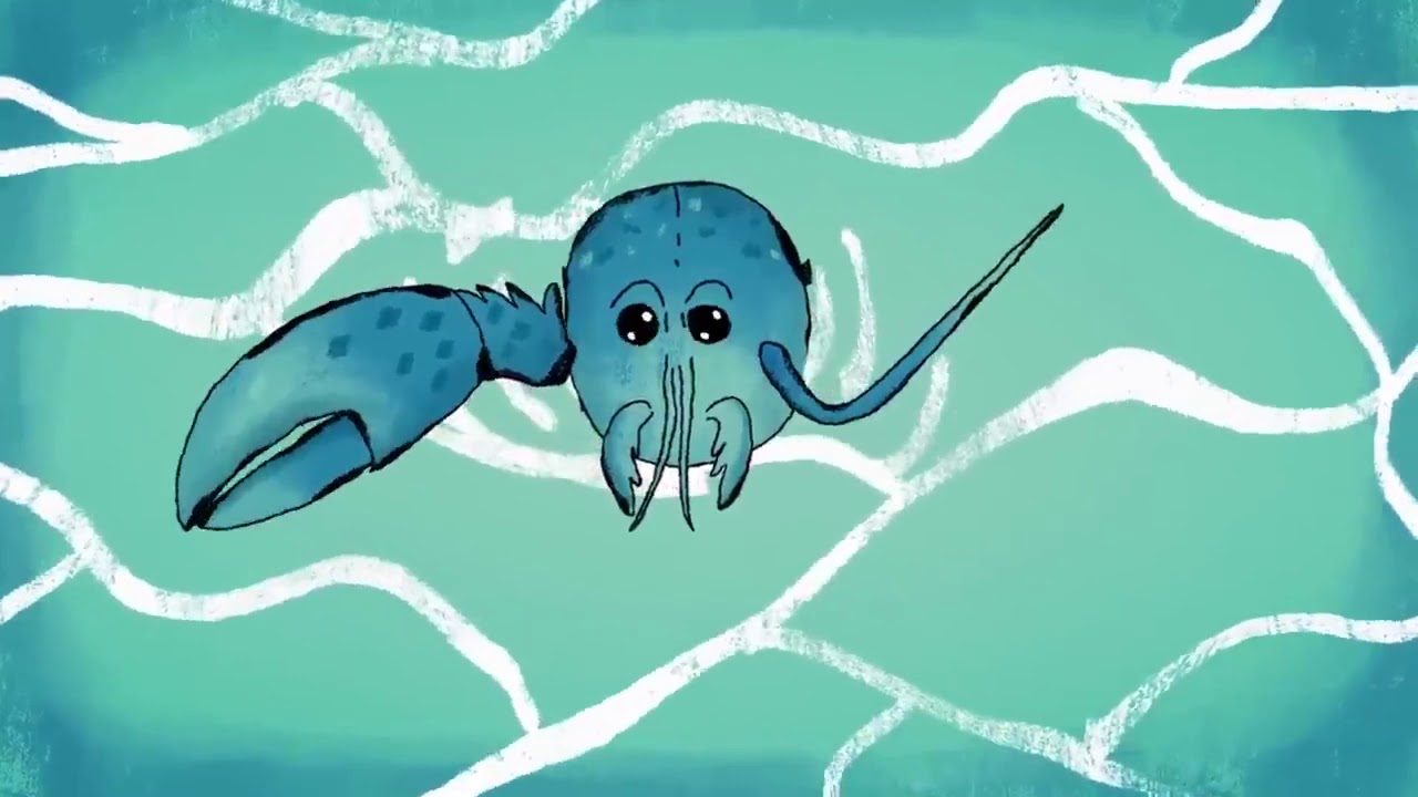 José De Jesús Vega Medina-12