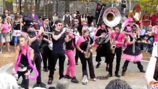 Pink Puffers from Roma Italia performing at Honk Festival Oct 6 2012
