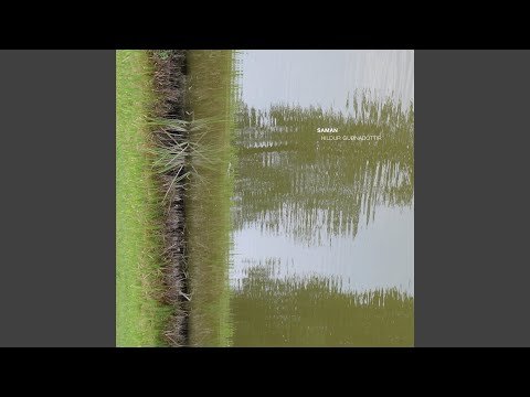 Video thumbnail for Líður