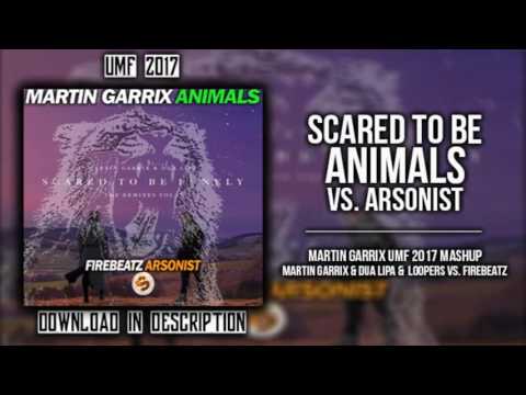Martin Garrix Mashup - Scared To Be Lonely vs. Animals vs. Arsonist (UMF 2017)