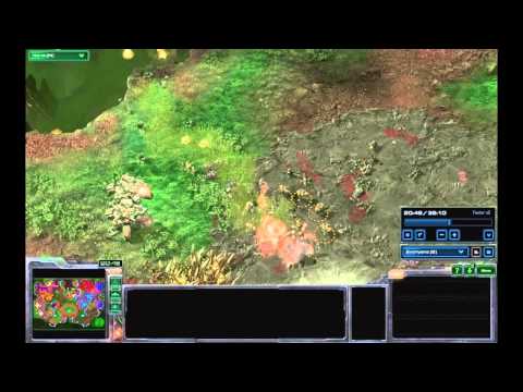 SC2 Friendly Fire