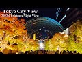 [4K] リニューアル恵比寿ガーデンプレイスのレビューと2022年クリスマスライトアップ Westinのツリー | TOKYO Christmas Lights Yebisu Garden Place