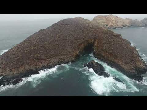 Palomino Islets – RNSIIPG