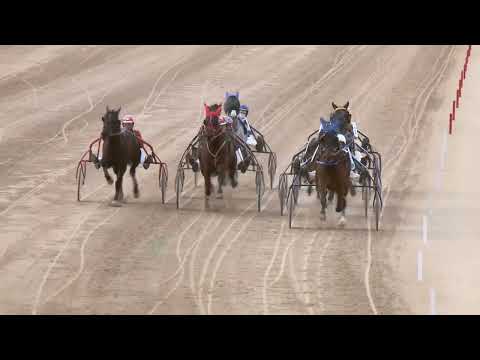 2022.02.19. 01. futam - SPEEDY FOSTER HENDIKEP