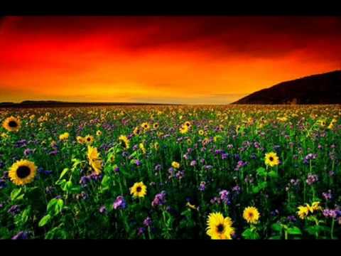 BONEY M - NO WOMAN, NO CRY.wmv