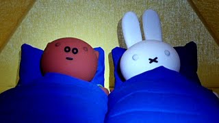 Miffy And Grunty Sleep In A Tent! | Miffy | Full Episode Compilation