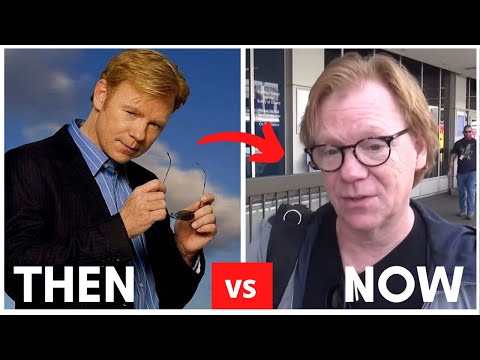 CSI: MIAMI Cast 2002 Then And NOW How They CHANGED 20 Years Later