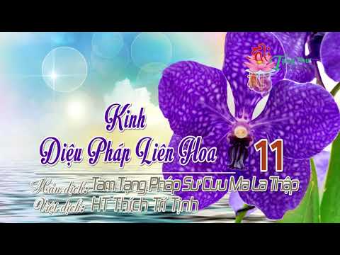 08. Phẩm Ngũ Bá Đệ Tử Thọ Ký Thứ Tám