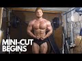 How To Mini Cut, Quarantine Home Shoulder and Arm Workout