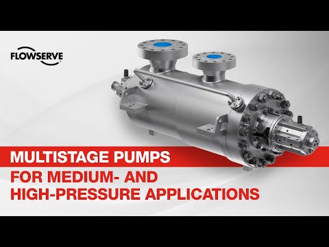 HDO General and Special Purpose Barrel Pump| Flowserve