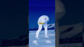 Download lagu Ningen : Monster yang Mendiami Antartika ! #lethologicaman mp3 Download lagu Ningen : Monster yang Mendiami Antartika ! #lethologicaman mp3