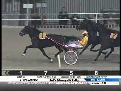 Premio Orsi Mangelli Filly 2011 -Orsia