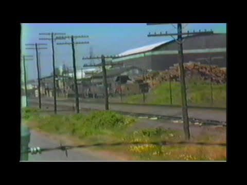 129. SOUTHERN PACIFIC SP Weyerhaeuser HAULER caboose hop return empty from mill 28 th st Springfield