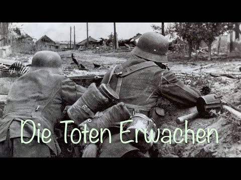 Die Toten Erwachen