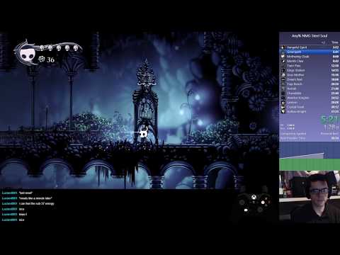 Hollow Knight - Any% NMG Steel Soul - 37:00