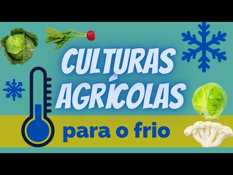 , title : 'Saiba que culturas se adaptam bem ao frio do Inverno #2'