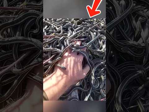 # 7 самых необычных видов сельского хозяйства в Китае 😱 #viral #факты #хочуфакты #кино #киноактеры