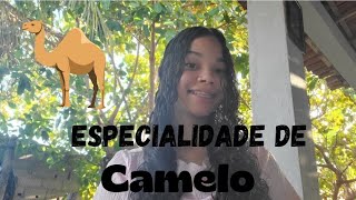 Especialidade de camelo - DBV