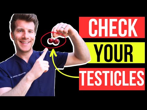 Doctor explains HOW TO EXAMINE YOUR OWN TESTICLES