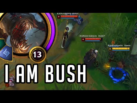 Fiddlesticks but I spend the entire game pretending to be his effigy (ward)