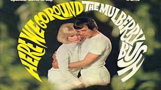 SPENCER DAVIS GROUP - Waltz For Caroline ( Here We Go Round The Mulberry Bush ) Soundtrack 1968
