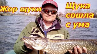 Щука в апреле ловля на спиннинг