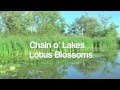 2012 Lotus Blossom Tour