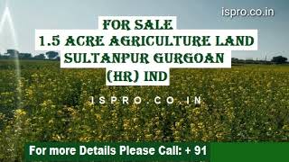  Residential Plot for Sale in Sultanpur, Gurgaon