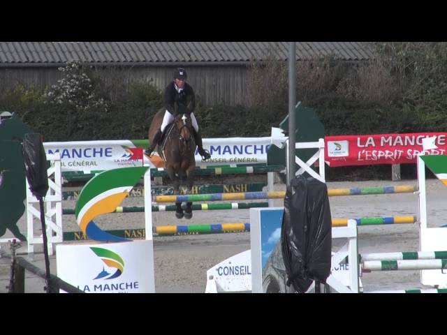 Full-brother of the mother of this Implanted Embryo is the CSI 1.60m Stallion Quickly de Kreisker with rider Abdelkebir OUADDAR.