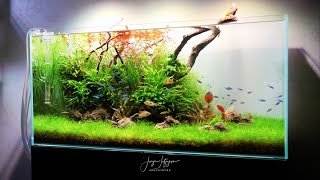 Behind the Scenes: Touring an Amazing Aquarium Gallery in Amsterdam!