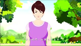 Phim hoạt hình hay nhất, Phim hoạt hình
