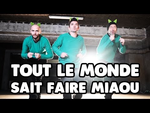Tout le monde sait faire Miaou - Pascal Parisot - LE CLIP by ChaPacha