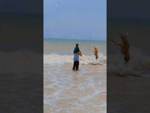 #tanzilalife #atseaside🌊🌊🌊🌊🌊🌊🌊🌊 #cute