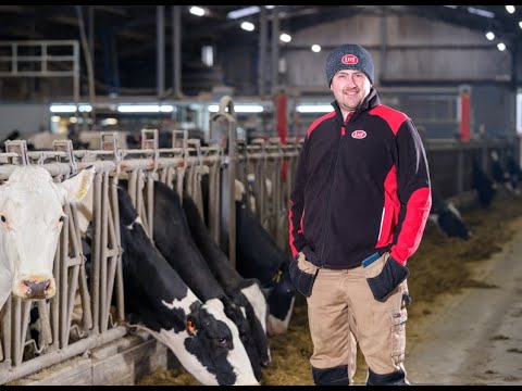 Lely Astronaut A5 Next - Milking robot - Customer testimonial Cargill