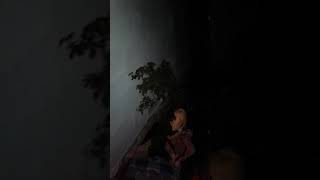 My dog humps the pillow and falls off