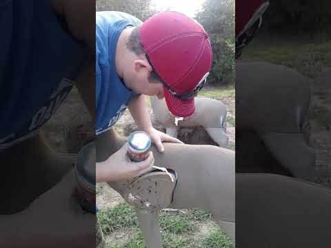 REVIEW  GlenDel Buck 3D Archery Target with Replaceable Insert Core