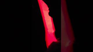 Alabaster - All Them Witches (Atlanta 2019)