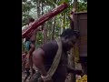 Pushpa Thaggedhe Le WhatsApp Status
