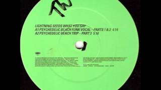 Lightning Seeds - What You Say (Wiseguy Remix - Instrumental)
