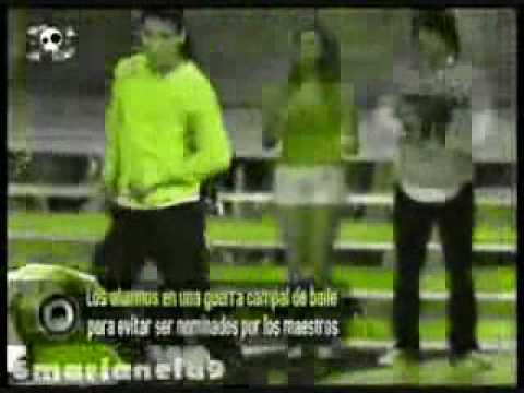 wilfredo academia baila tecktonik