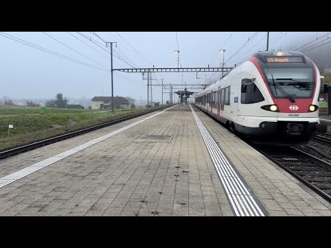 Bahnverkehr in Hendschiken (07.11.2025)