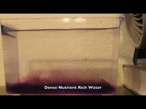 Upwelling: Movement in the Ocean