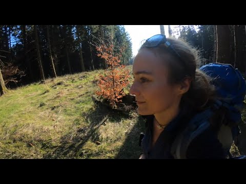 Rennsteigwanderung Etappe 2: Von Ascherbrück über den großen Inselsberg zur Ebertswiese