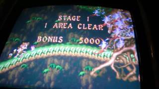 "Roosters" A.K.A Midnight Wanderers: Wonder 3 Arcade