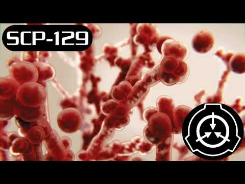 SCP-129: Progressive Fungal Infection