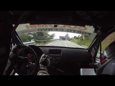 Video Rally Camera Car (Cocco - Deiana) peugeot 207 Super 2000