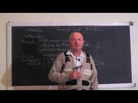 2/2 Lectia 1104 Piramida Prisma Paralelipiped Teorema Pitagora generalizata Radicali compusi Clasa 8